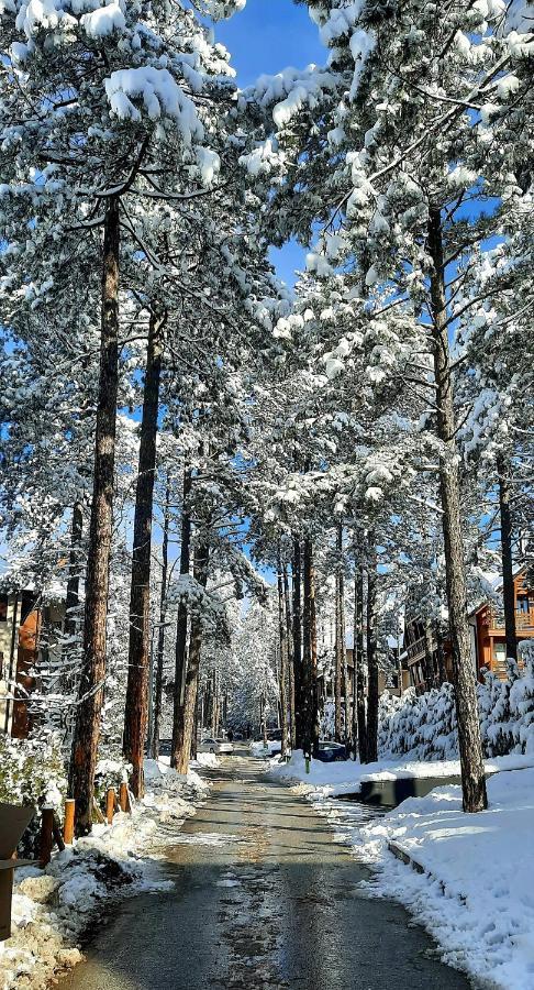 Apartment Erak Hill Zlatibor Exterior foto